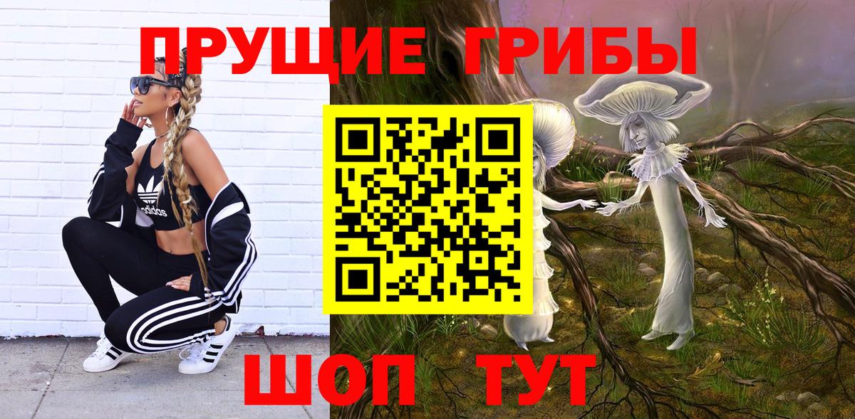 Псилоцибиновые грибы Magic Shrooms  Галлюциногенные грибы Cubensis  Вход с VPN  Шадринск 